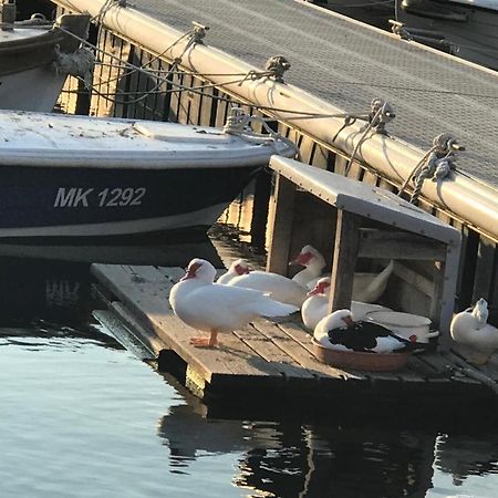 Apartment Aquamarin, Blizu Mora S Pogledom Na More, Za Do 6 Osoba Malinska Zewnętrze zdjęcie