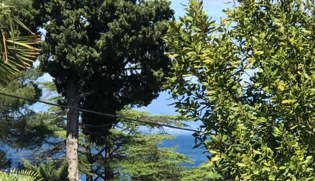Apartment Aquamarin, Blizu Mora S Pogledom Na More, Za Do 6 Osoba Malinska Zewnętrze zdjęcie