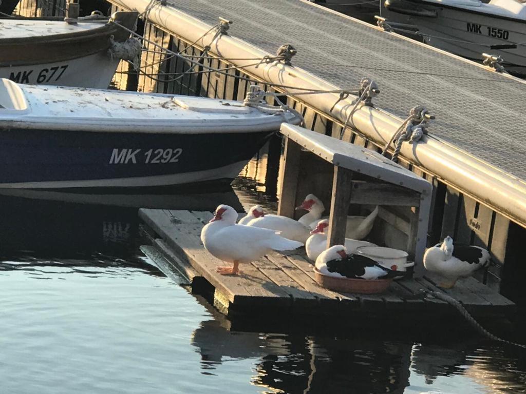 Apartment Aquamarin, Blizu Mora S Pogledom Na More, Za Do 6 Osoba Malinska Zewnętrze zdjęcie